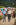 Jublasurium 250607 1536 AlainSethmacher 0009