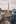 Jublasurium 250607 1501 LivioFretz 0009-545x818