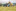 Jublasurium 250607 1559 DarwinHansen 0019-1440x960