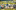 Jublasurium 250607 1517 AlainSethmacher 0003