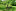 DSC04547-545x363