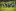 Jublasurium 250607 1033 AlainSethmacher 0028 - Kop...