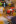Jublasurium 250608 1454 LivioFretz 0007-545x818