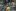 DSC04554-545x363