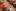 Jublasurium 250608 1454 LivioFretz 0006-545x363