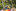 Jublasurium 250608 1441 DarwinHansen 0030-545x363