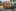 Jublasurium 250607 0947 AlainSethmacher 0003-1440x...
