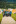Jublasurium 250607 1533 AlainSethmacher 0008-1440x...