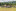 Jublasurium 250608 0944 DarwinHansen 0004-1440x960