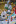 Jublasurium 250608 1459 AlainSethmacher 0015