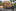 Jublasurium 250607 0947 AlainSethmacher 0003