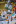 Jublasurium 250608 1459 AlainSethmacher 0015-545x8...